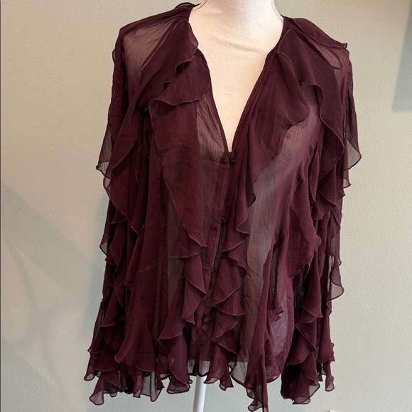 Zara Tops - Zara Burgundy Ruffled Blouse